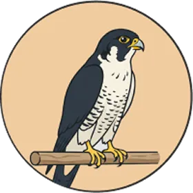 ハヤブサのイラストのアイコン