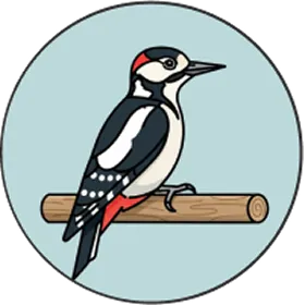アカゲラのイラストのアイコン