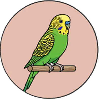 あやの鳥アイコン