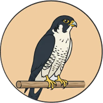 めぐむの鳥アイコン